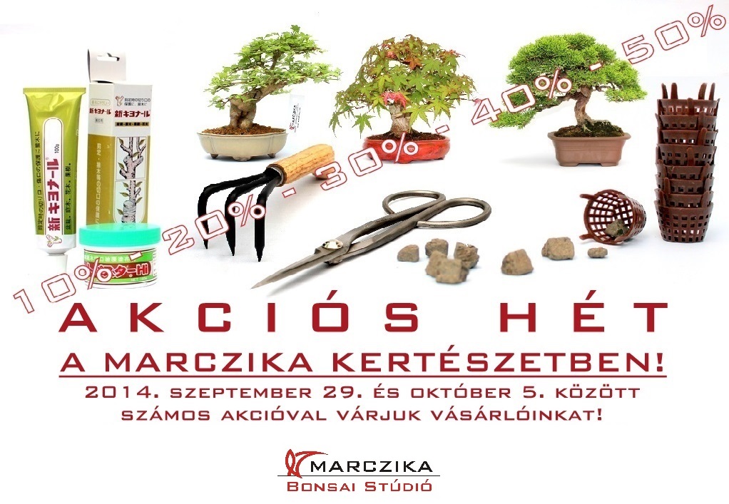 akcios bonsai termekek bonsaj sales studio